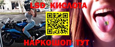 spice Рыбинск