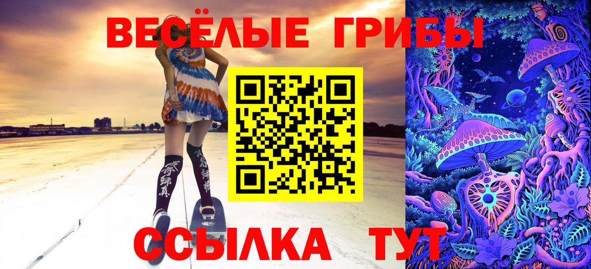 Саратов  Галлюциногенные грибы MAGIC MUSHROOMS  Вход с VPN 