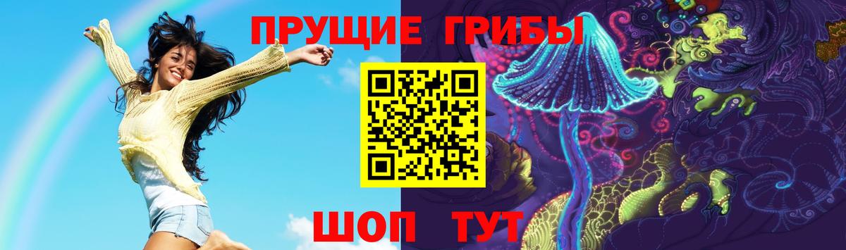 Псилоцибиновые грибы Cubensis Саратов